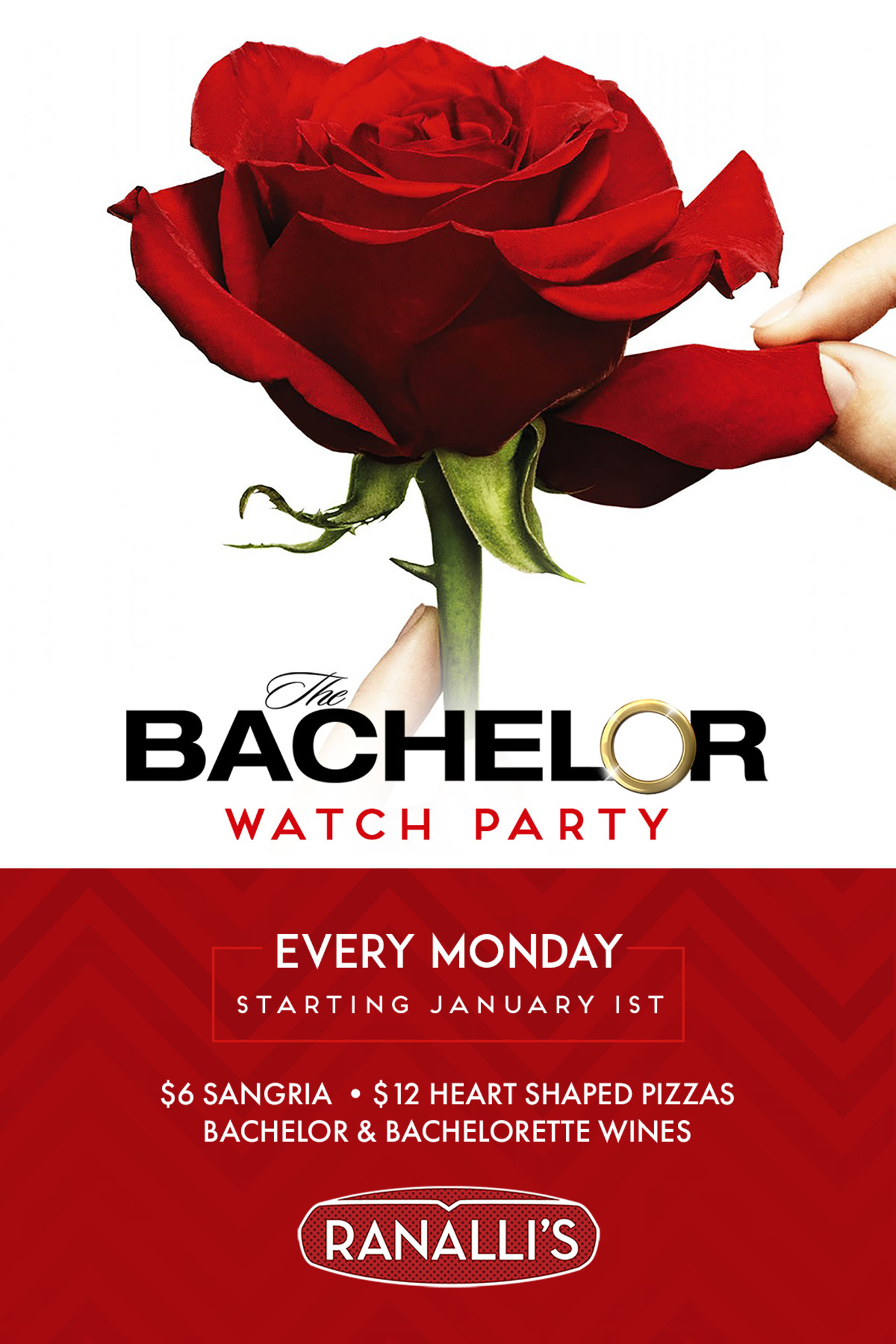 Bachelor Party Stream Bachelor Party Stream