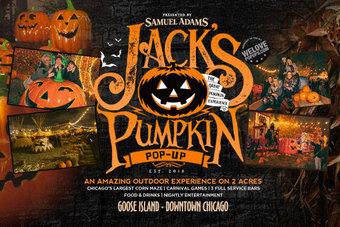 Veterans Day Jacks Pumpkin Pop Up Tickets Jack S Pumpkin Pop Up Chicago Il October 28 2019